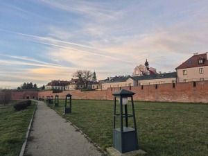 30