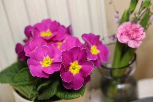 43