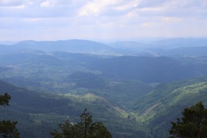 30