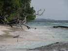 Maldyvų salos- tai ideali vieta nardymui ir povandeninio pasaulio pažinimui