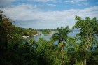 Kanopi House - Jamaikoje galima atrasti viešbučius ir medžiuose