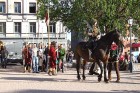 Cēsis gatavojas Muzeju naktij un viduslaiku svētkiem