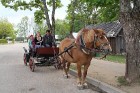Lietuva - Anykščių rajonas - Niūronių kaimas - Arklio muziejus 