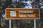 Ragakāpas dabas parks Jūrmalā ir jauka pavasarīgas pastaigas vieta 