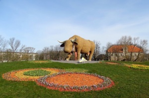 Ventspils ziedoši sagaida pavasari 