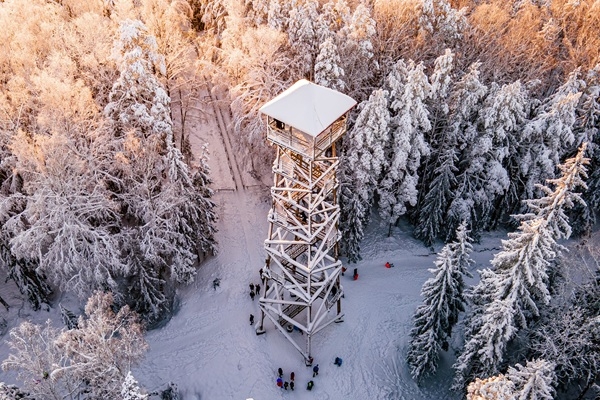 Idejas ziemas prieku baudīšanai Ogres novadā