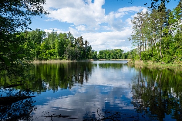 Preiļu novads: Aglonas Upursalas dabas taka gaida savus apmeklētājus!