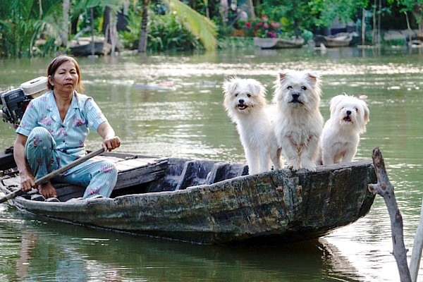 Vjetnamā smagi plūdi – Latvijas ceļotājiem ieteicams būt piesardzīgiem