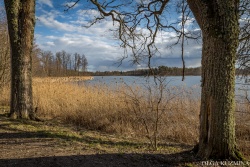 Medumu parks un taka Augšdaugavas novada Tūrisma nodaļa