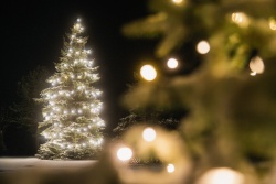 Dienvidkurzemē iedegsies svētku egles Dienvidkurzemes novada tūrisma centrs