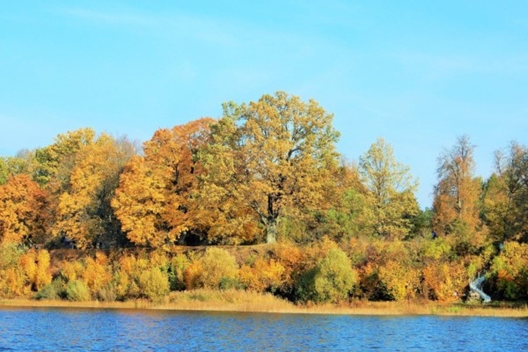 Dažādā un aizraujošā Salaspils. Salaspils TIC 294854