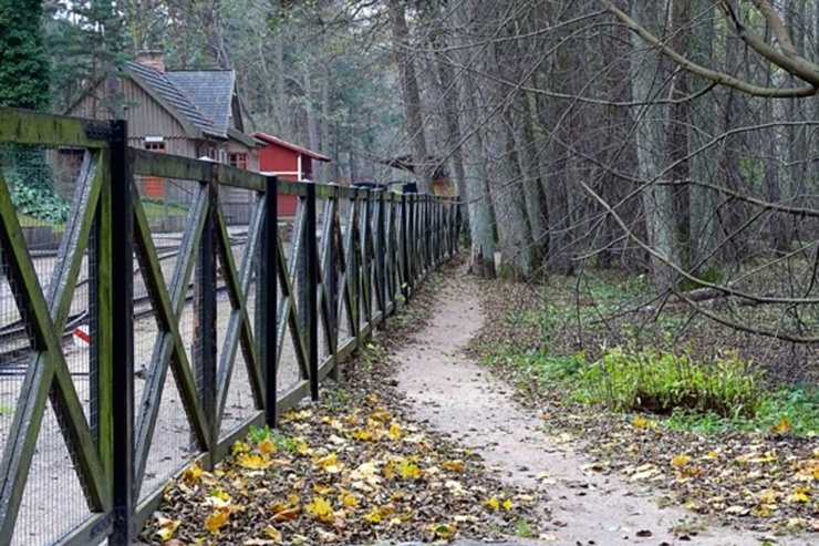 Izstaigā Ventspils  dabas takas pirms uzsnidzis sniegs. Foto: O. Jūra 294899