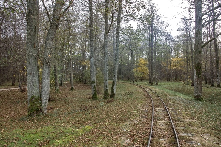 Izstaigā Ventspils  dabas takas pirms uzsnidzis sniegs. Foto: O. Jūra 294904