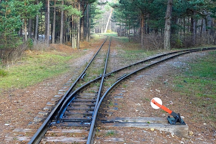 Izstaigā Ventspils  dabas takas pirms uzsnidzis sniegs. Foto: O. Jūra 294910