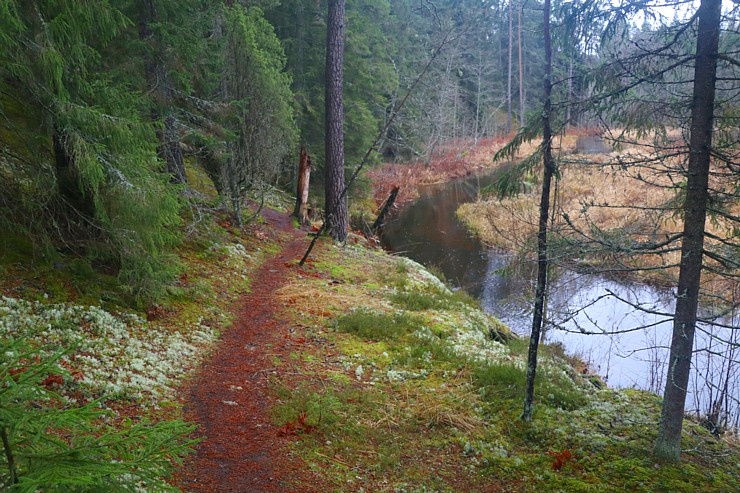 Travelnews.lv dodas 25 km pārgājienā gar Strīķupi Gaujas nacionālajā parkā 294996