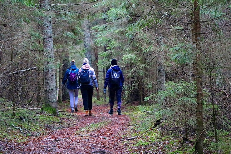 Travelnews.lv dodas 25 km pārgājienā gar Strīķupi Gaujas nacionālajā parkā 295003