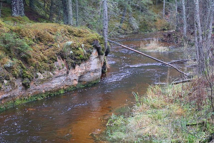 Travelnews.lv dodas 25 km pārgājienā gar Strīķupi Gaujas nacionālajā parkā 295008