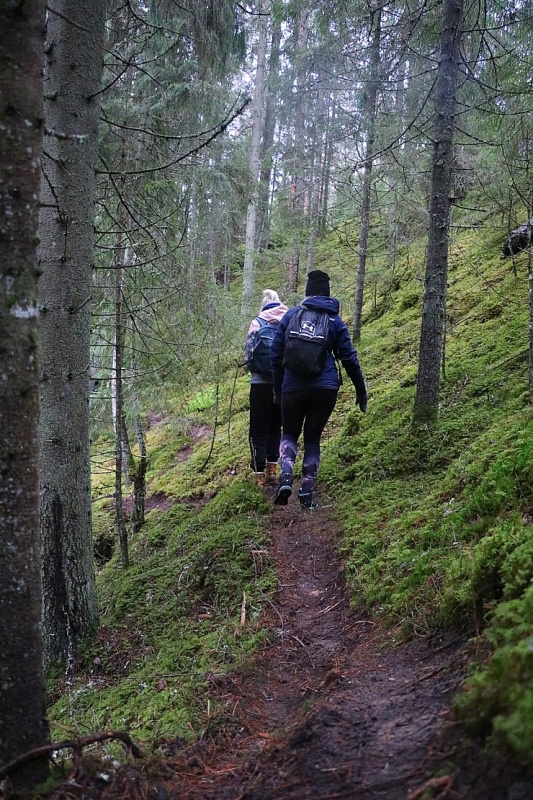 Travelnews.lv dodas 25 km pārgājienā gar Strīķupi Gaujas nacionālajā parkā 295016