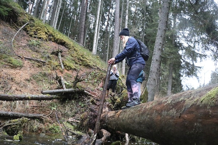 Travelnews.lv dodas 25 km pārgājienā gar Strīķupi Gaujas nacionālajā parkā 295021