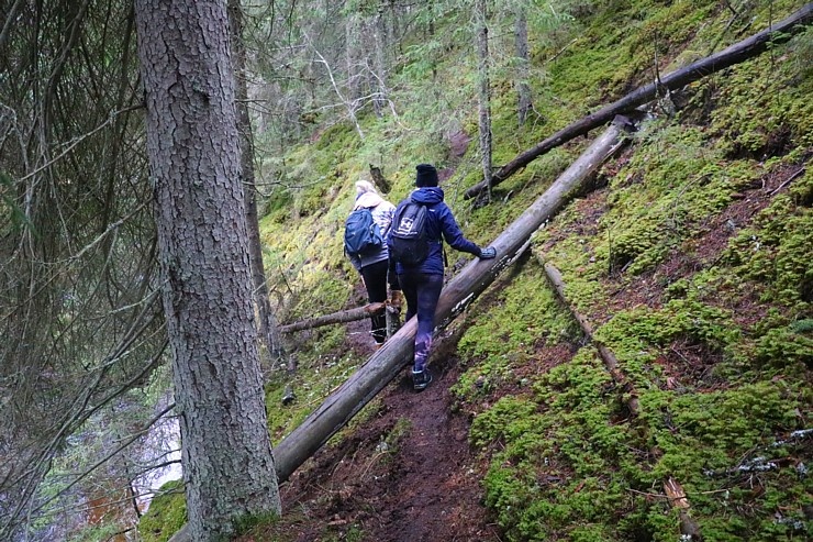 Travelnews.lv apmeklē Ērgļu klintis pie Gaujas un dodas 25 km pārgājienā gar Strīķupi 295060