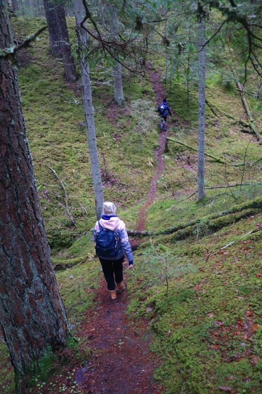 Travelnews.lv apmeklē Ērgļu klintis pie Gaujas un dodas 25 km pārgājienā gar Strīķupi 295064