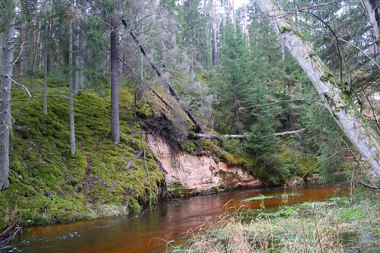 Travelnews.lv apmeklē Ērgļu klintis pie Gaujas un dodas 25 km pārgājienā gar Strīķupi 295066