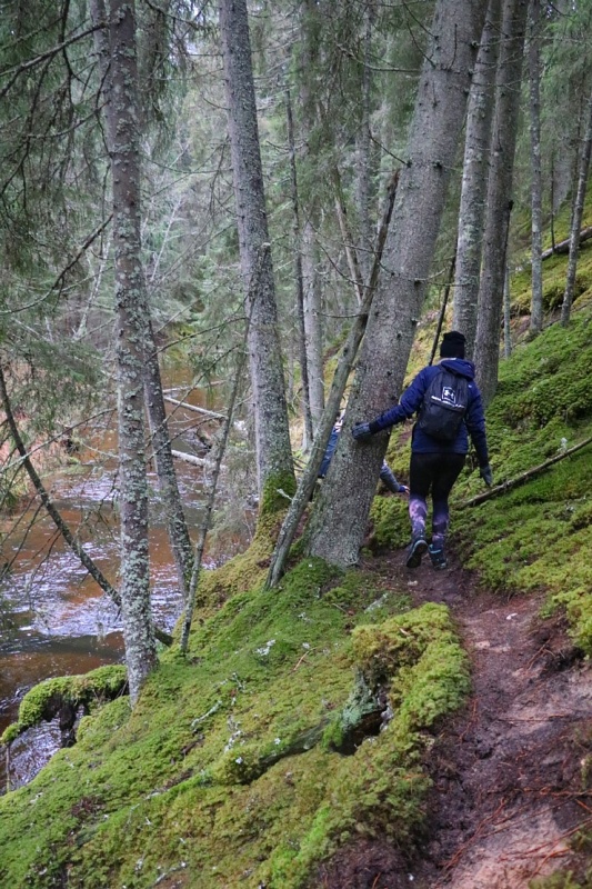 Travelnews.lv apmeklē Ērgļu klintis pie Gaujas un dodas 25 km pārgājienā gar Strīķupi 295069