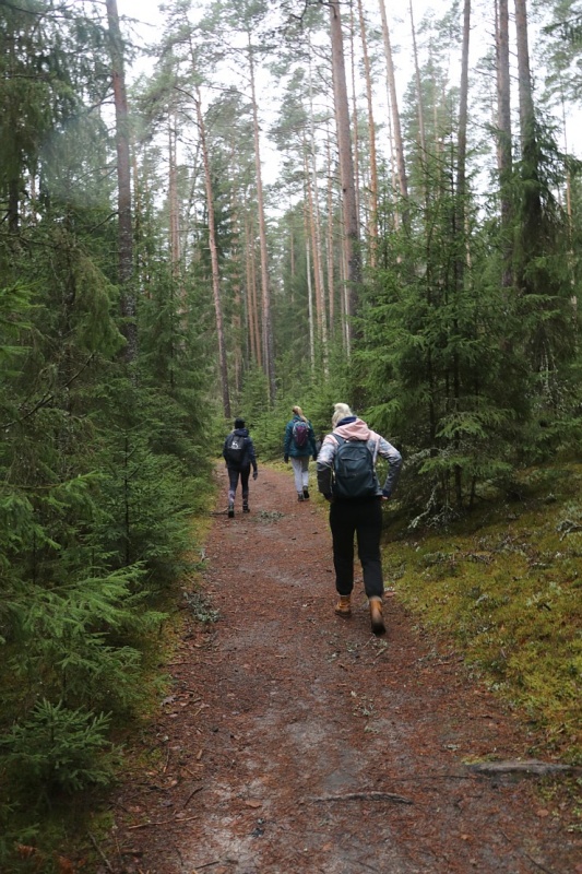 Travelnews.lv apmeklē Ērgļu klintis pie Gaujas un dodas 25 km pārgājienā gar Strīķupi 295070