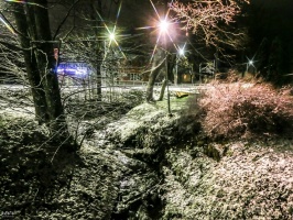 Burvīgā Madona pielaiko ziemu. Foto: Agris Veckalniņš 14