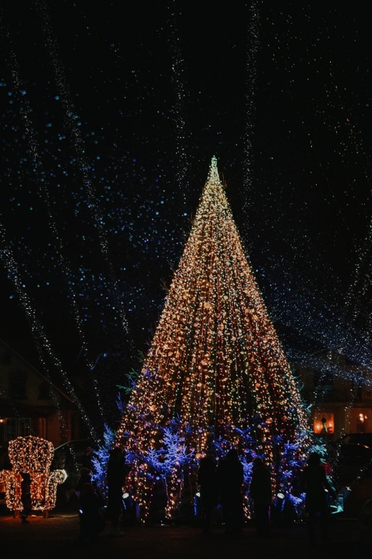 Krāšņā Sigulda pošas Ziemassvētkiem. Foto: Ginta Zīverte 295104