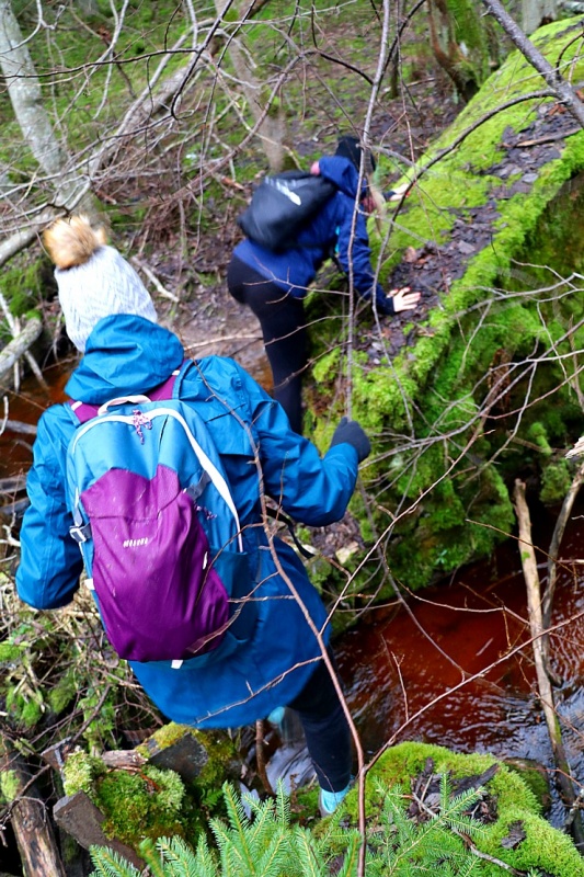 Travelnews.lv dodas 27 km pārgājienā gar Līgatnes upi 295194