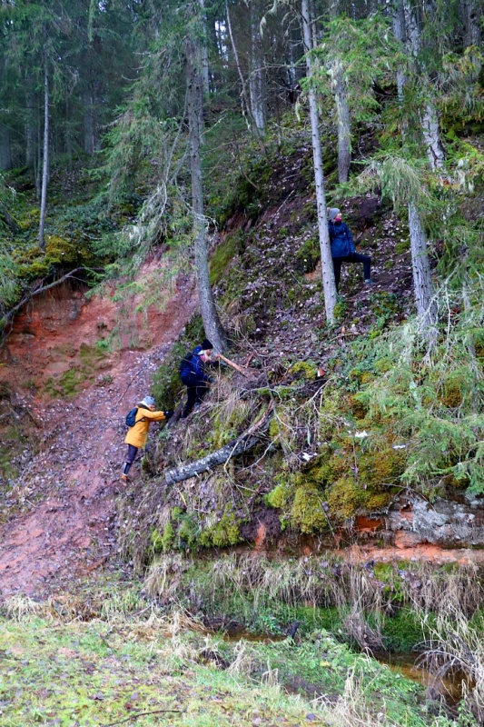 Travelnews.lv dodas 27 km pārgājienā un apmeklē Spriņģu iezi pie Gaujas 295258