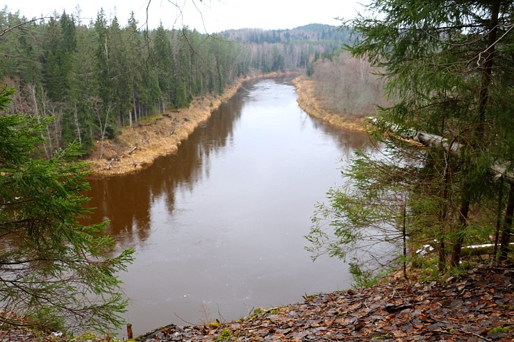 Travelnews.lv dodas 27 km pārgājienā un apmeklē Spriņģu iezi pie Gaujas 295262