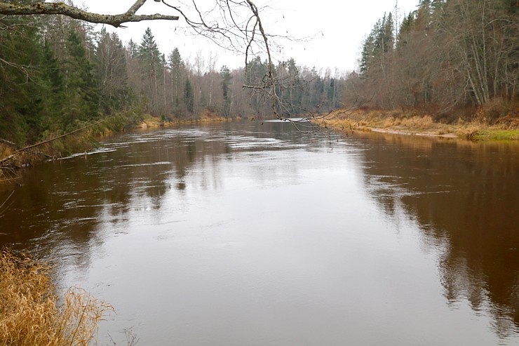 Travelnews.lv dodas 27 km pārgājienā un apmeklē Gūdu klintis un Katrinas iezi pie Gaujas 295293