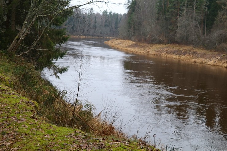 Travelnews.lv dodas 27 km pārgājienā un apmeklē Gūdu klintis un Katrinas iezi pie Gaujas 295308