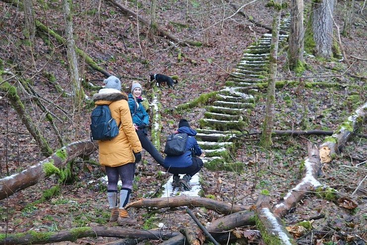 Travelnews.lv dodas 27 km pārgājienā un apmeklē Gūdu klintis un Katrinas iezi pie Gaujas 295309