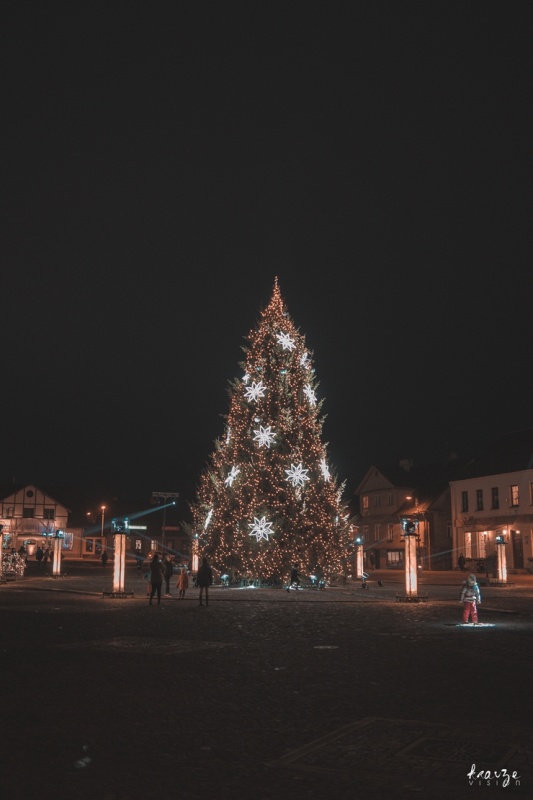 Dobeles egles iedegšanas svētki #iededzuegli. Foto: A. Šiliņš, KrauzeVision 295414