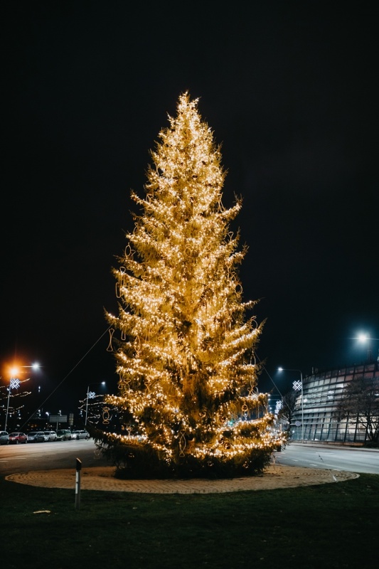 Kraukšķīga un salda - Rīga uz Zeimaassvētkiem. Foto: Kārlis Liepa 295457