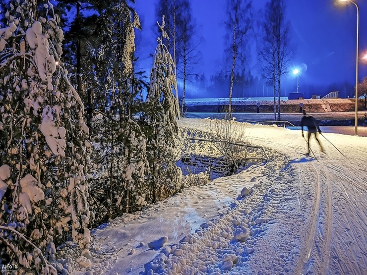 Lieli un mazi kāpj uz slēpēm Madonas pusē. Foto: Madonas TIC 295492