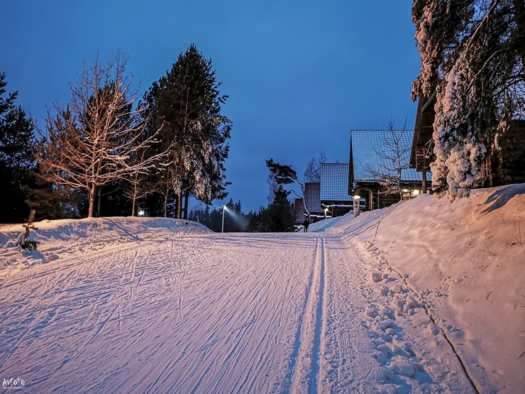 Lieli un mazi kāpj uz slēpēm Madonas pusē. Foto: Madonas TIC 295502