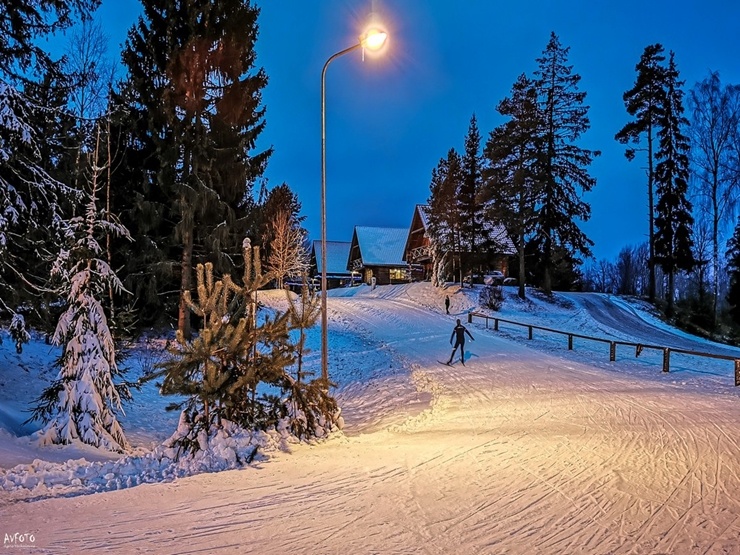 Lieli un mazi kāpj uz slēpēm Madonas pusē. Foto: Madonas TIC 295504