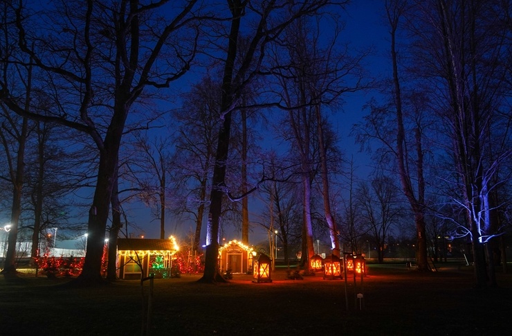 Uz Tukumu pēc smukuma un Ziemassvētkiem. Foto: Andris Jermuts 295542