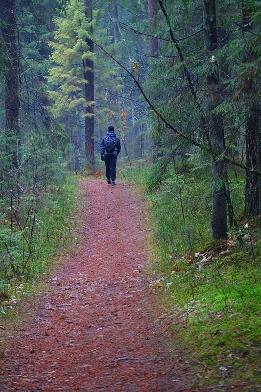 Travelnews.lv dodas 17 km garā Baldones dabas takas maršrutā 295856