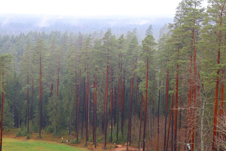 Baldones dabas takas pozitīvi pārsteidz Travelnews.lv redakciju 295882