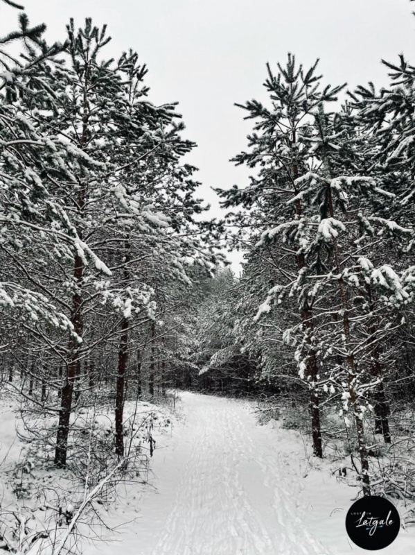 Travelnews.lv redakcijā ienāk Ziemassvētku un Jaungada apsveikumi! Lost in Latgale - Paldies! 296027