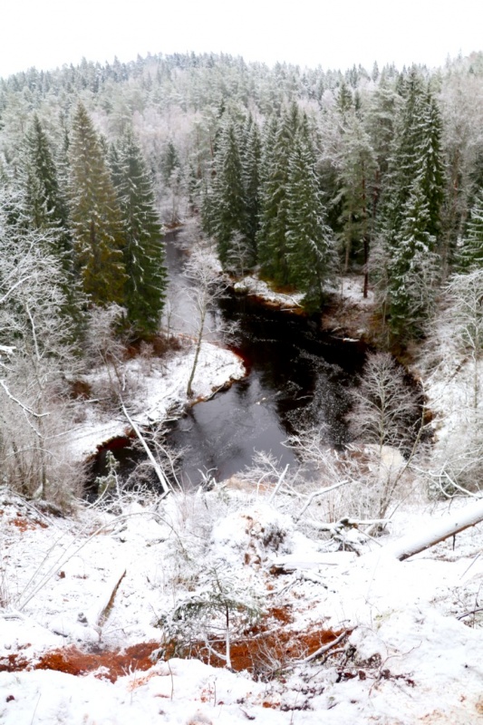 13 km pārgājiens gar Braslas upi un Virtakas iezi iepriecina Travelnews.lv redakciju 296141