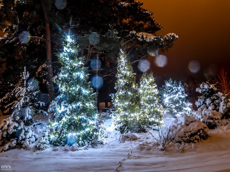 Tā Madonā izrotāja mājas svētku laikā. Foto: Agris Veckalniņš 296427