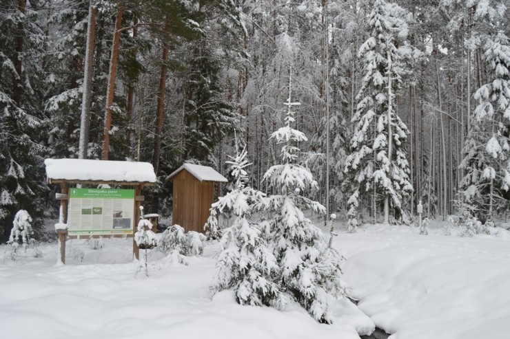 Viļakā var baudīt īstu ziemu. Foto: Visitvilaka.lv 296461