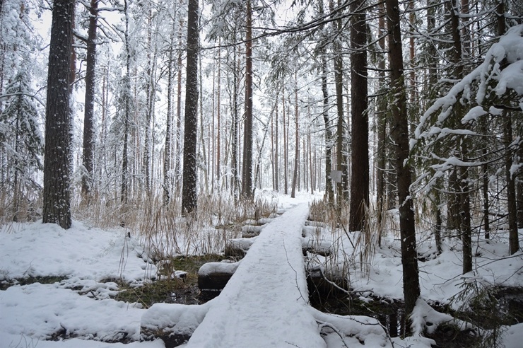 Viļakā var baudīt īstu ziemu. Foto: Visitvilaka.lv 296472