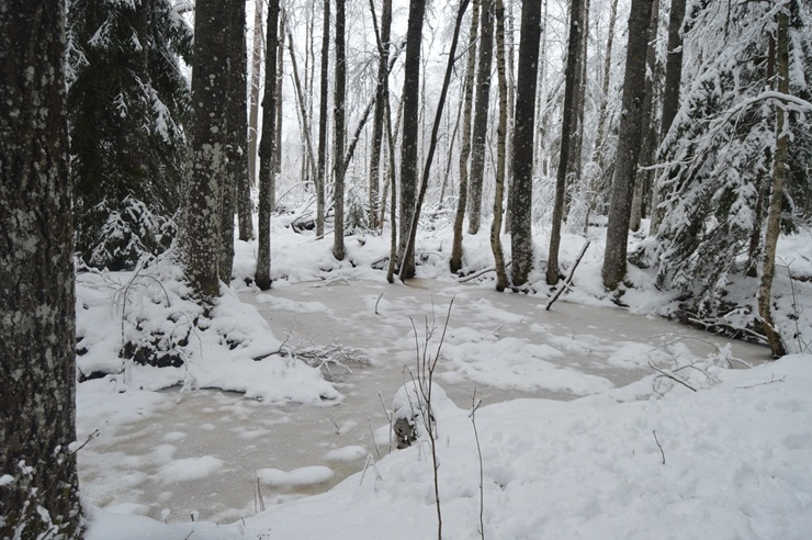 Viļakā var baudīt īstu ziemu. Foto: Visitvilaka.lv 296476